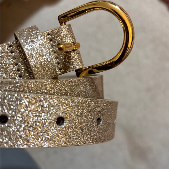 J. Crew Metallic Gold and Tan Belt. NWT - Picture 5 of 6